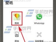 CEO SCRM 营销解决方案，助力企业出海